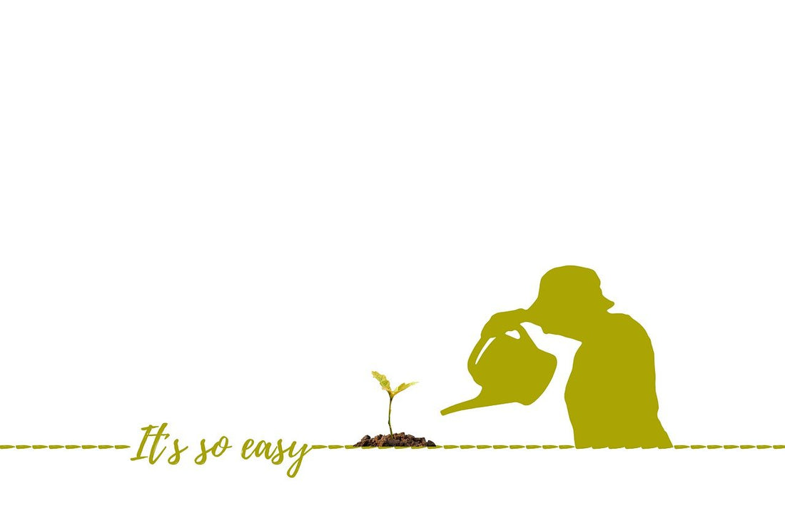 pxclimate protection, growth, watering can-7161790.jpg