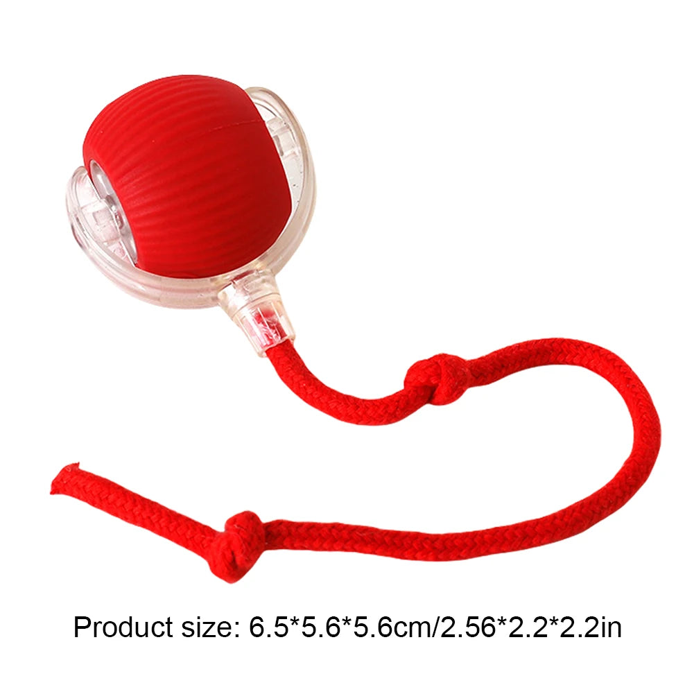New Speedy Tail 2.0 Cat Toys Generation Smart Interactive Cat Toy Ball Two Speed Adjustment Automatic Moving Cat Toy Ball