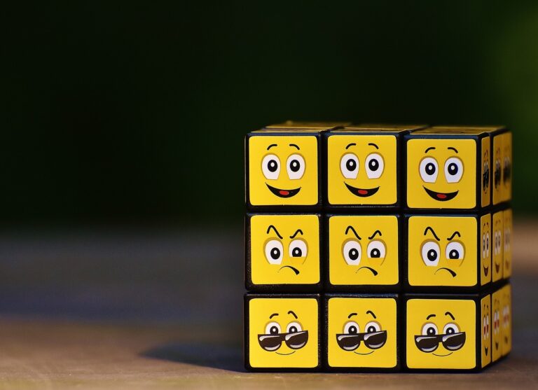 Understanding the Wheel of Emotions: A Comprehensive Guide - Balanced Life Goods